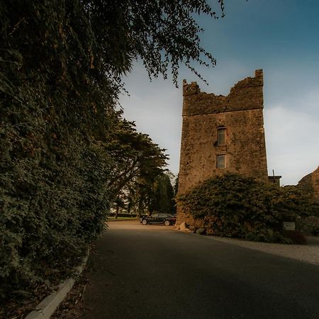 Killiane Castle Country House & Farm Drinagh Buitenkant foto