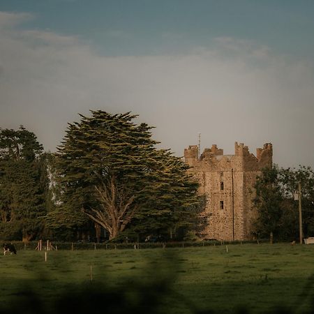 Killiane Castle Country House & Farm Drinagh Buitenkant foto