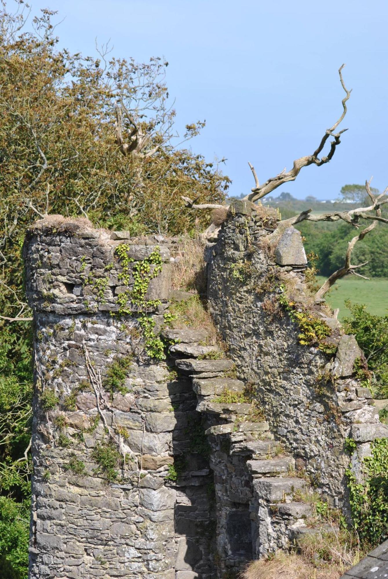 Killiane Castle Country House & Farm Drinagh Buitenkant foto