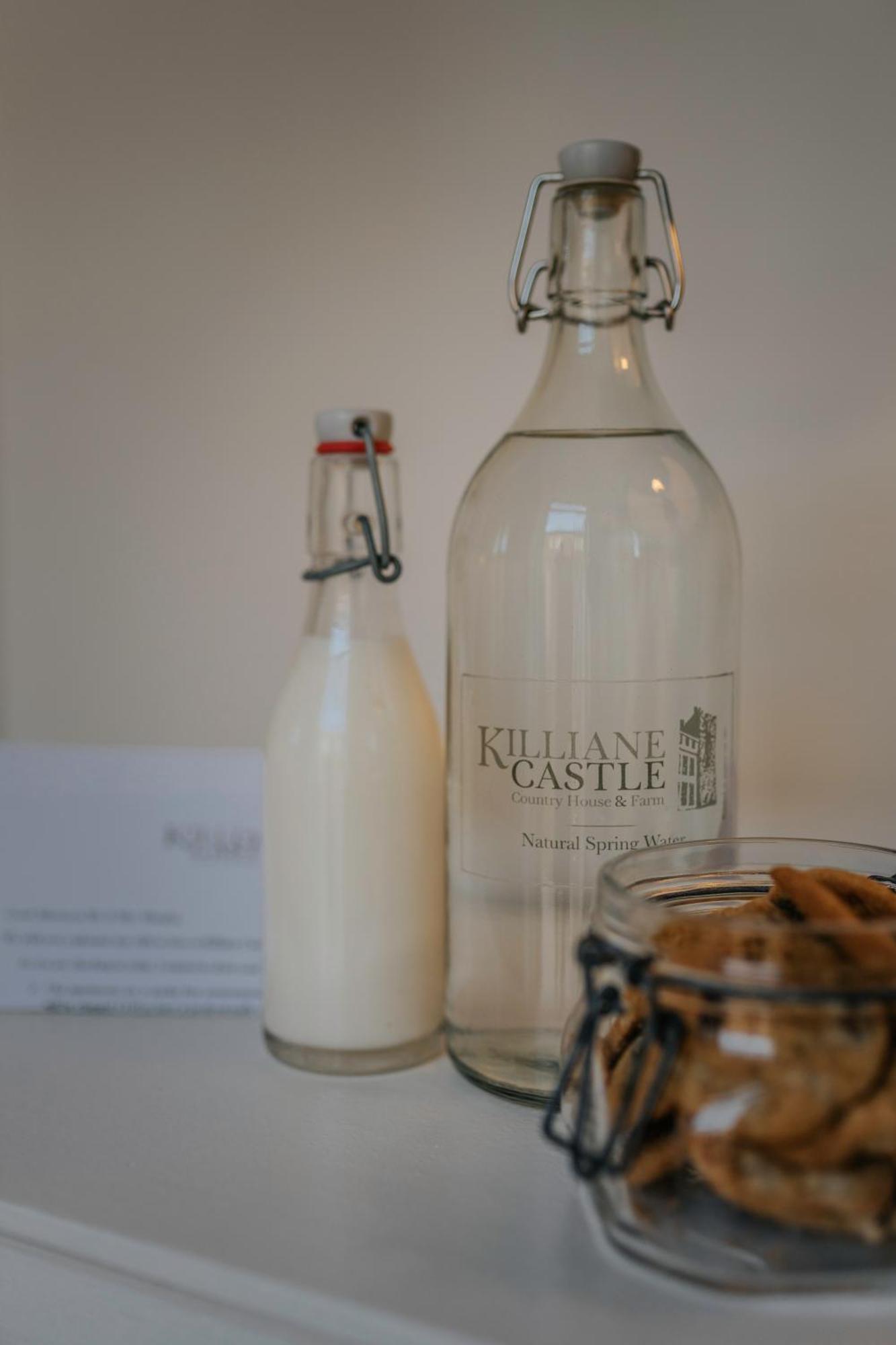 Killiane Castle Country House & Farm Drinagh Buitenkant foto