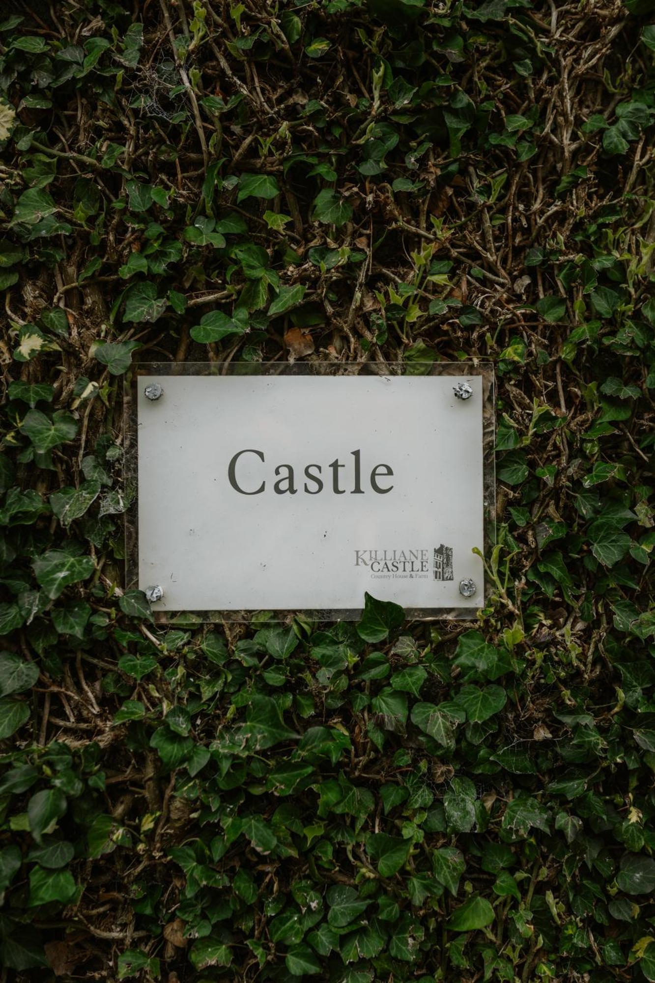 Killiane Castle Country House & Farm Drinagh Buitenkant foto