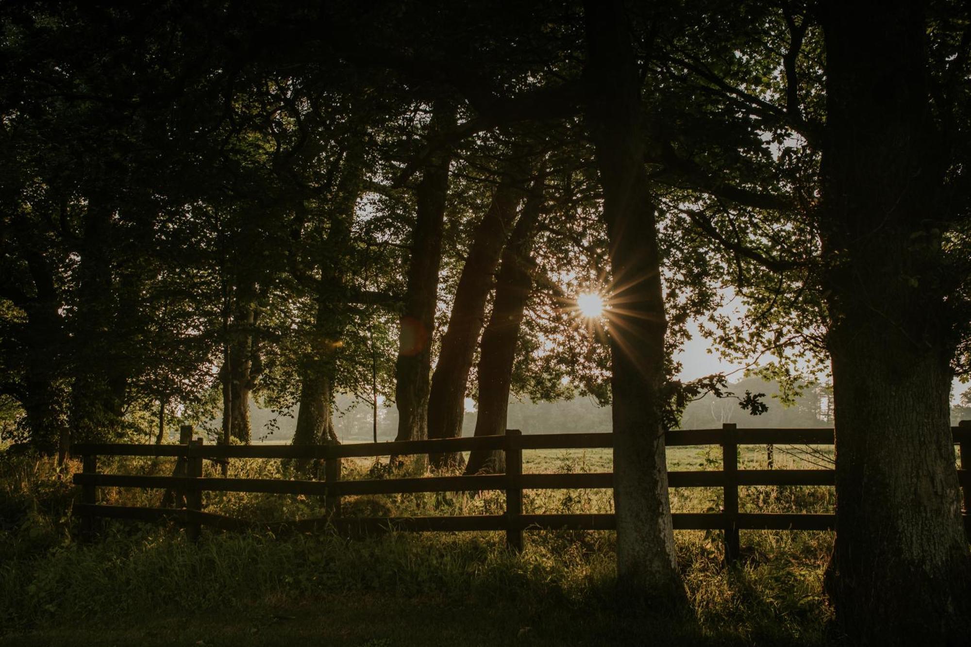 Killiane Castle Country House & Farm Drinagh Buitenkant foto
