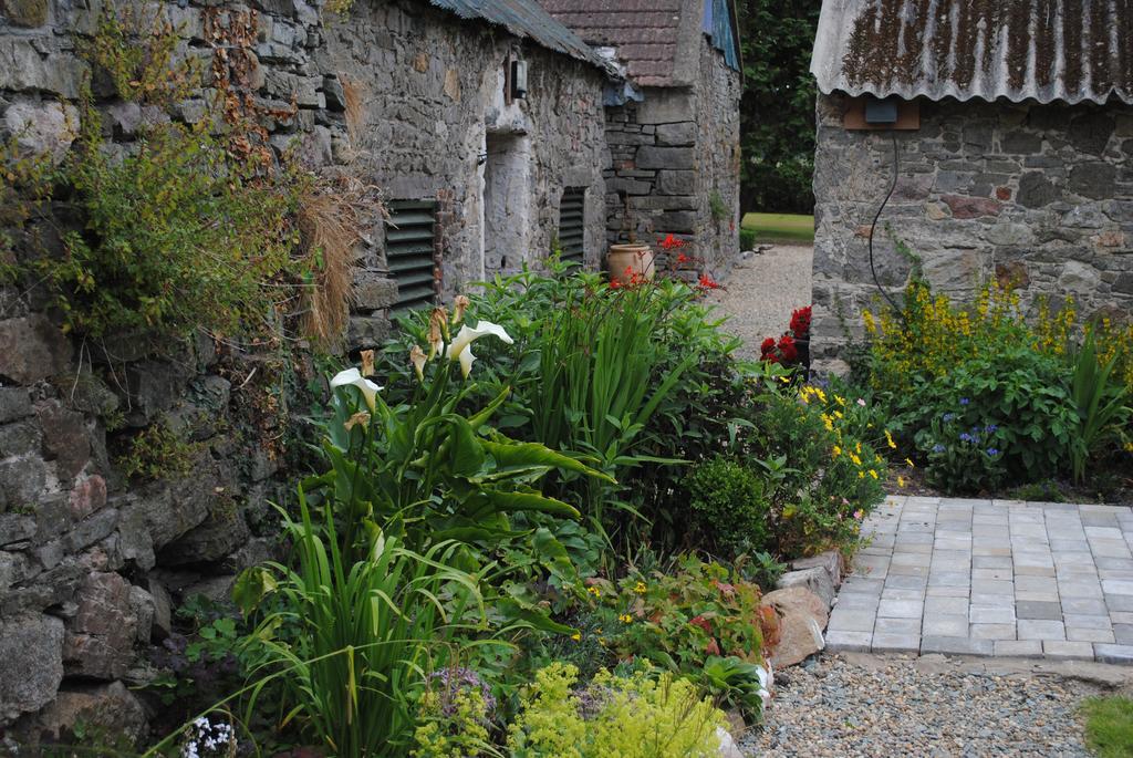 Killiane Castle Country House & Farm Drinagh Buitenkant foto